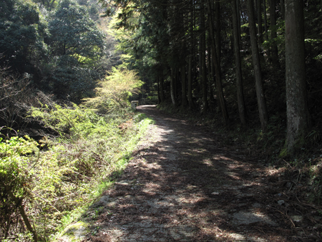 20140419hike (27)